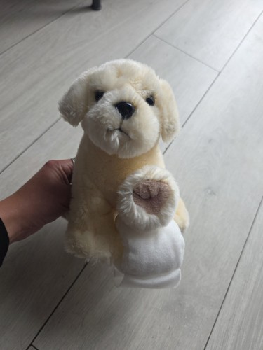 Andrex puppy dog toilet - andrex,