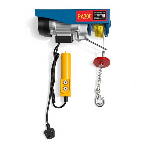 300kg electric winch - 300kg,