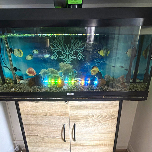 Juwel 180l glass rectangular - 180l,