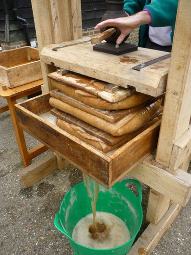 Genuine cornish scrumpy - cornish, cider