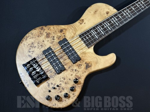 Sire marcus miller - sire marcus, f10