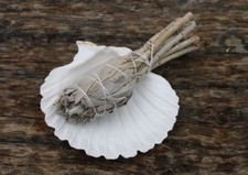 White Sage Smudge Sticks