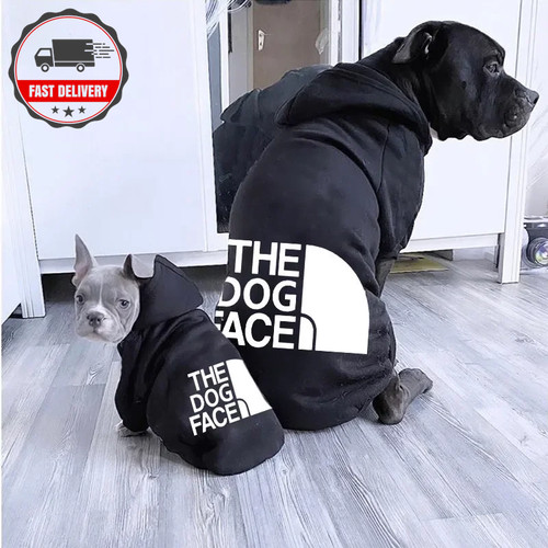 Warm winter dog hoodie - dog, all