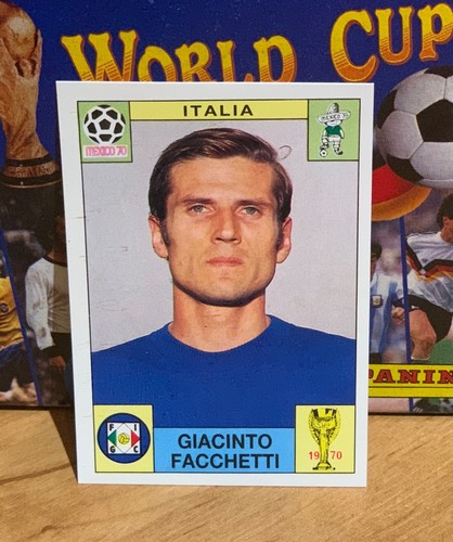 Panini world cup story sticker - world,
