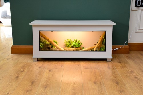 Modern light grey reptile - light,