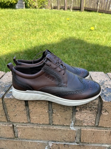 Ecco brown brogue men - brown,