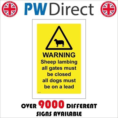 Sign warning sheep - sign,