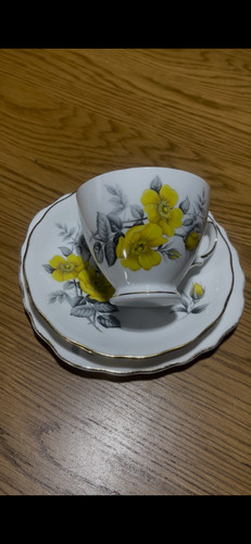 Royal vale bone china trio - royal,