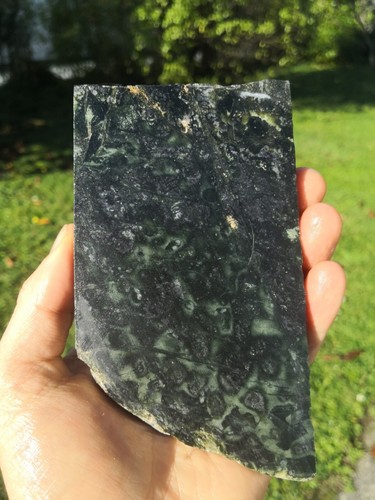 Pounamu greenstone orbicular - pounamu,