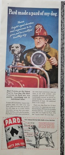 1946 pard swift - dog, food