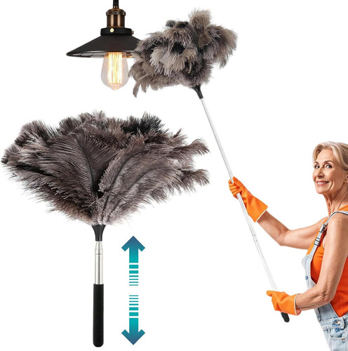Feather duster - feather,