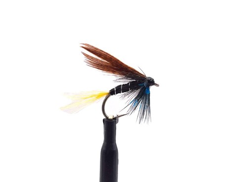 Connemara black wet trout - 3,