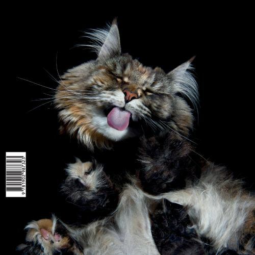 The maine coon life - the,