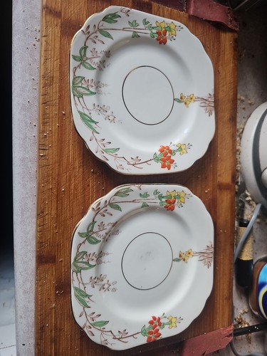 Pair stanley fine bone - a,