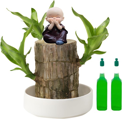 Mini brazil lucky wood - brazil, wood,