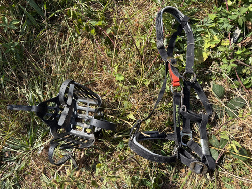Green guard muzzle - green,