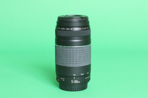 Canon 300mm 5 - ef, f/4-5.6