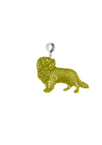 Cav king charles - charles, gold