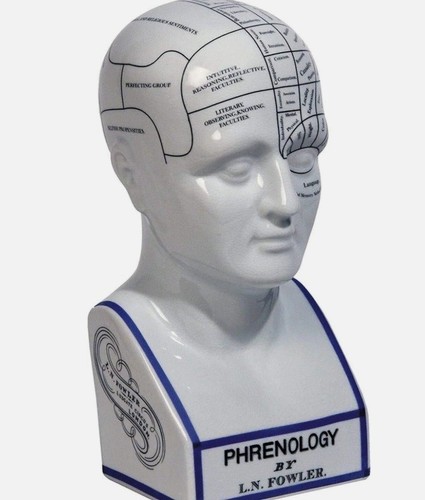 Phrenology head fowler - head,