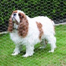 25-100M Galvanised Chicken Wire Mesh Net Pet Barrier Plant Flower Garden Fence
