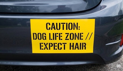 Caution dog life - caution, zone