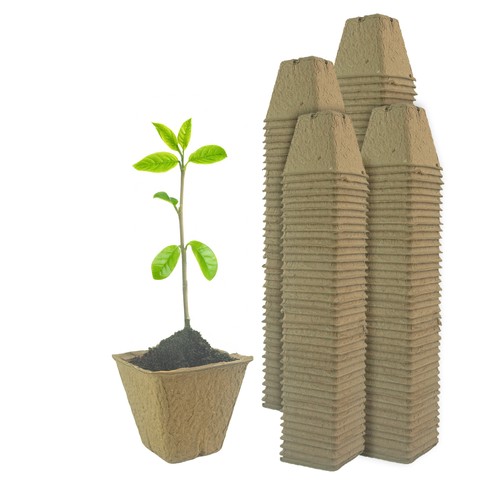 Compostable paper plant pots - compostable,