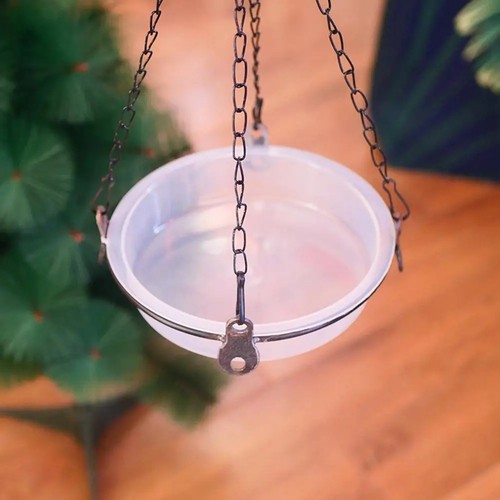 Replacement wild bird water - wild,
