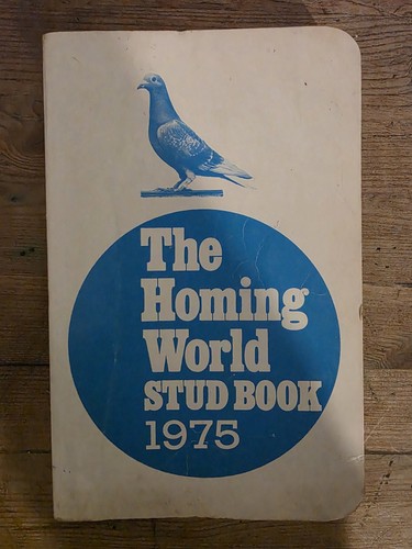 The homing world stud - world,