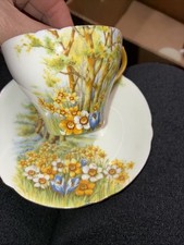 Shelley fine bone china teacup