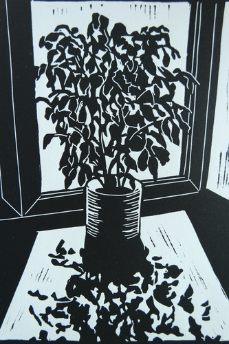 Linocut ficus benjamina - linocut, "ficus