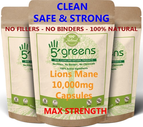 Lions mane mushroom extract - mushroom,