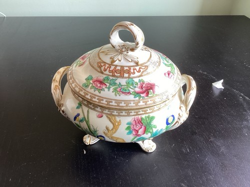 Coalport indian tree terrine - indian,