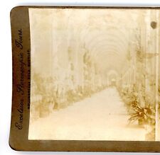 Stereoview card Campo Santo