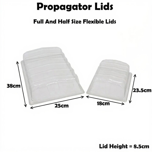 Propagator lids seed - propagator,