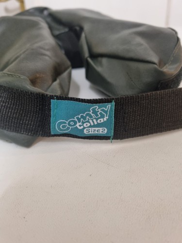 Inflatable dog collar - dog,