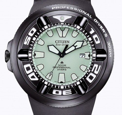 Citizen promaster professional - promaster,