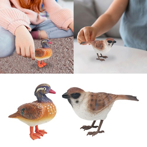 Realistic bird figure - figure,