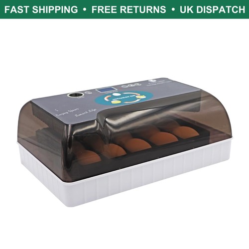 Advanced egg hatching - egg, machine
