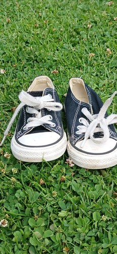 Converse taylor all star low - ,