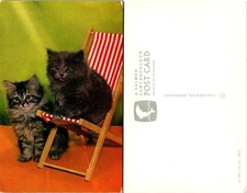 Two Fluffy Kittens Red Stripe