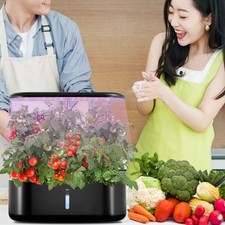 Hydroponics Growing System 10