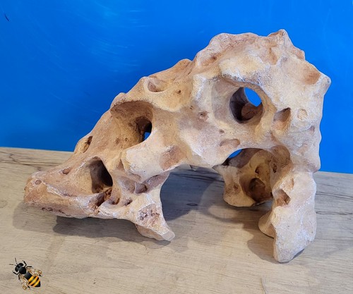 Sea rock aquarium - fish, tank