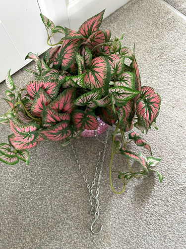 Artificial fittonia nerve - artificial,
