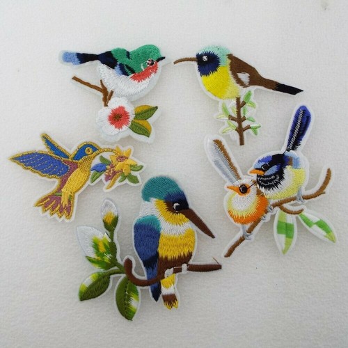 Bird nature wild animals - nature,