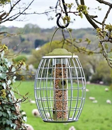 Squirrel proof seed feeder - proof,