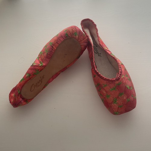 Hand drawn new capezio - new, pointe
