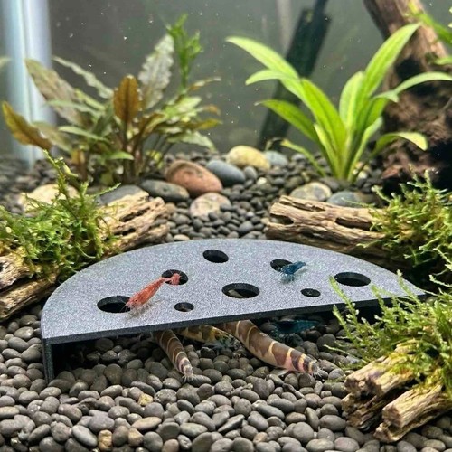 Fish tank shrimp - fish, cave