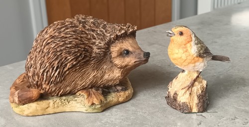 Hedgehog robin gpo1 - &,