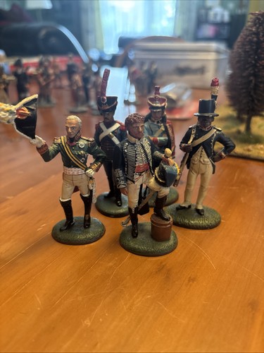 Collectible painted soldiers - painted,
