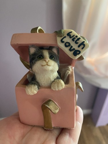Leonardo cat the box - leonardo, in